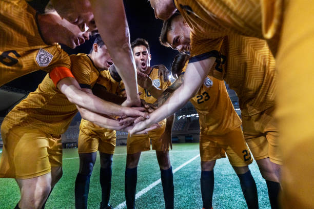 注入了新的 注入了新的