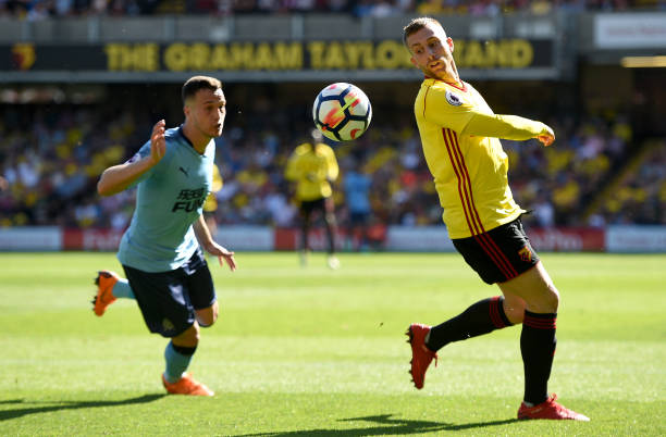 新星维尼修 新星维尼修