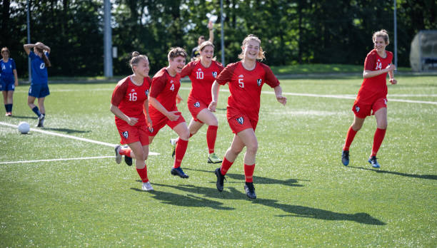 家队增添了 家队增添了